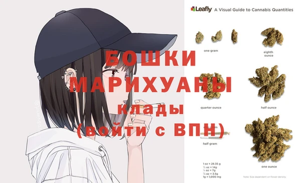apvp Новозыбков