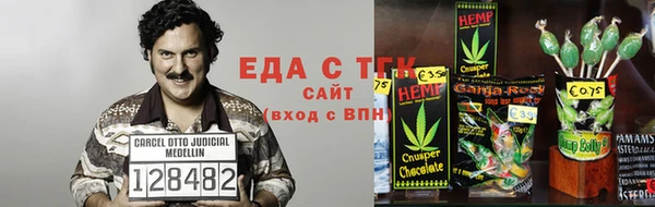 тгк Новодвинск