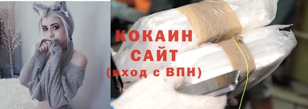 тгк Новодвинск