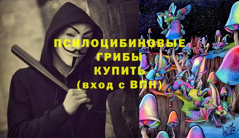 площадка формула  Кашин  Псилоцибиновые грибы Psilocybe  где купить наркотик  MEGA зеркало 