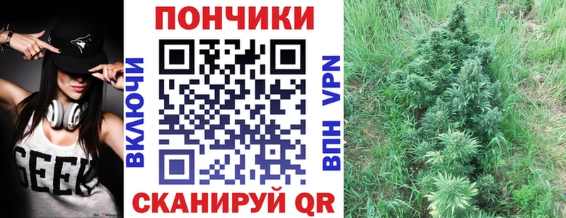 закладка  Кашин  Марихуана MAZAR 